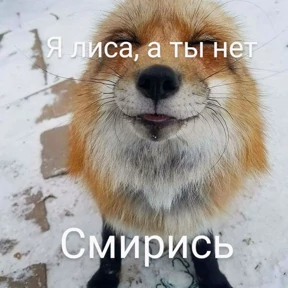 ЛисЯ — стикер для MAX