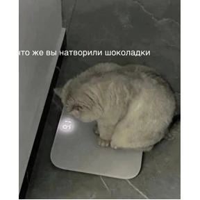 Имба — стикер для MAX