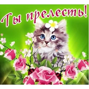 набор сашки прониной — стикер для MAX