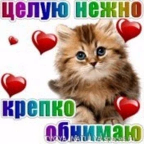 набор сашки прониной — стикер для MAX