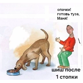 Шишка — стикер для MAX
