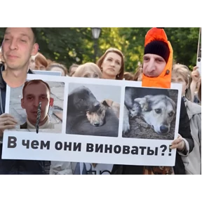 Шишка — стикер для MAX