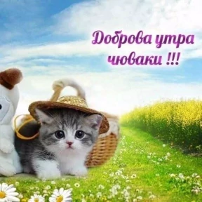 набор сашки прониной — стикер для MAX