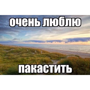 набор сашки прониной — стикер для MAX
