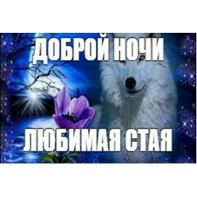набор сашки прониной — стикер для MAX
