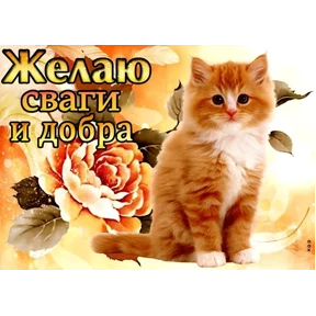 набор сашки прониной — стикер для MAX