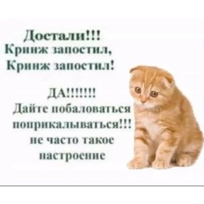 Коля Tapbox.ru — стикер для MAX