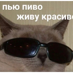 На случай важных переговоров — стикер для MAX