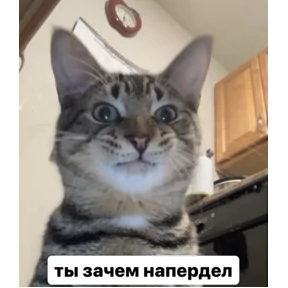Пиу пиу — стикер для MAX
