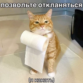 Пиу пиу — стикер для MAX