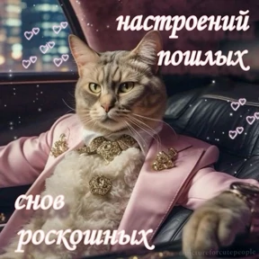 Пиу пиу — стикер для MAX