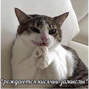 Пиу пиу — стикер для MAX