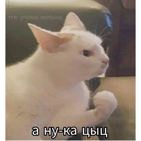 Пиу пиу — стикер для MAX