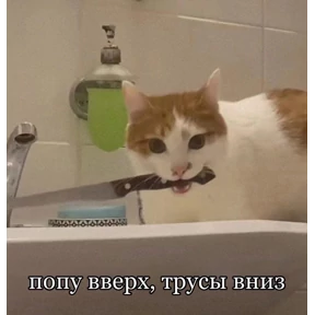 Пиу пиу — стикер для MAX