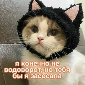 Пиу пиу — стикер для MAX