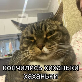 Пиу пиу — стикер для MAX