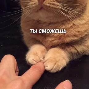 Пиу пиу — стикер для MAX