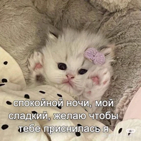 Пиу пиу — стикер для MAX