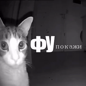 Пиу пиу — стикер для MAX