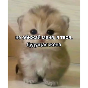 Пиу пиу — стикер для MAX