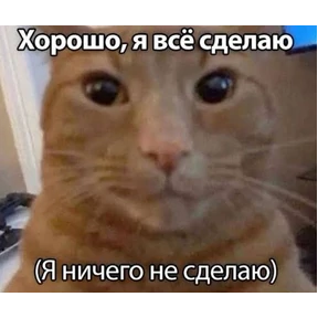 Corelina — стикер для MAX