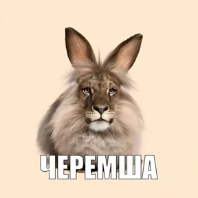 Corelina — стикер для MAX