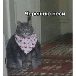Corelina — стикер для MAX