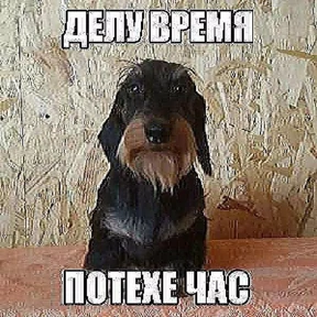 Corelina — стикер для MAX