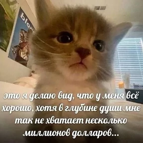 Corelina — стикер для MAX
