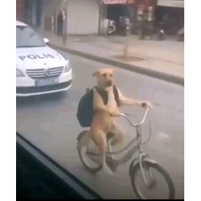 карапузик — стикер для MAX