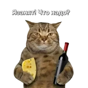 Набор 2 — стикер для MAX