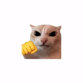Котичность — стикер для MAX