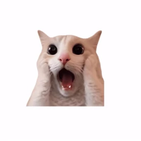 Котичность — стикер для MAX