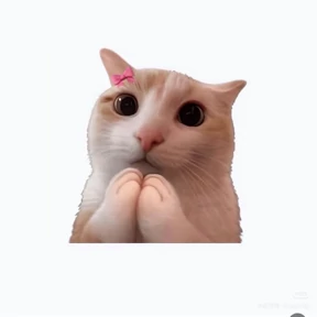 Котичность — стикер для MAX