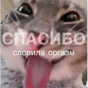 Tchapa World — стикер для MAX