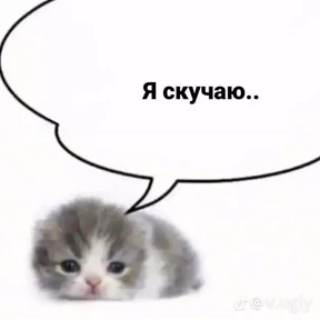 slvkml — стикер для MAX