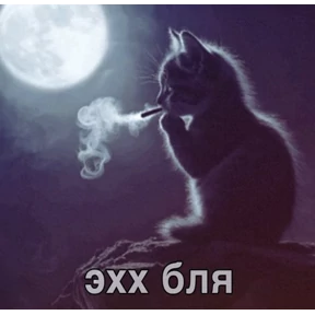 Пупуп — стикер для MAX