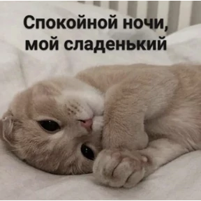 Мяски колбаски — стикер для MAX