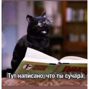 мурзилка — стикер для MAX