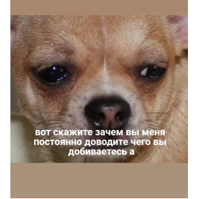 мурзилка — стикер для MAX