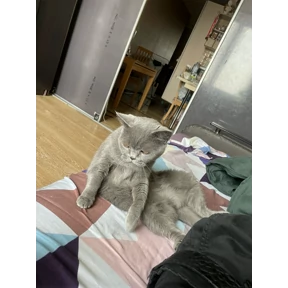 Люсьен — стикер для MAX
