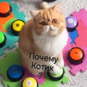 BR1KkY — стикер для MAX