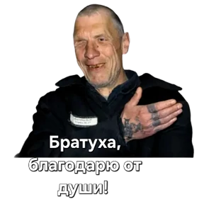 Набор 2 — стикер для MAX