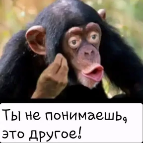 Набор 2 — стикер для MAX