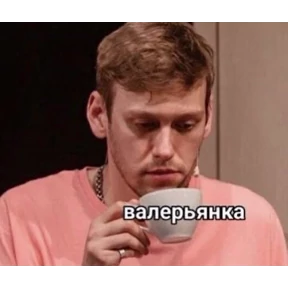 Various — стикер для MAX