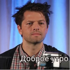 Various — стикер для MAX