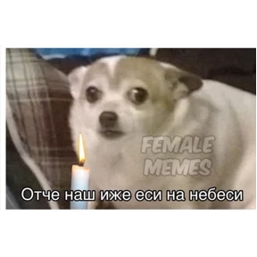 мурзилка — стикер для MAX