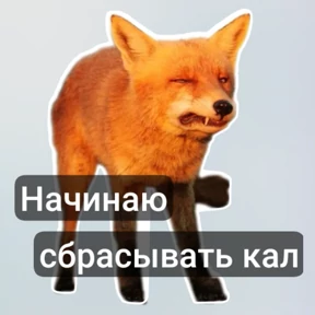 Стикерпак газ в пол для мессенджера MAX