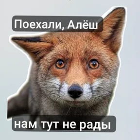 газ в пол — стикер для MAX