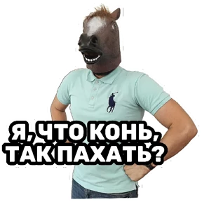 РЦК-АЛТАЙ — стикер для MAX